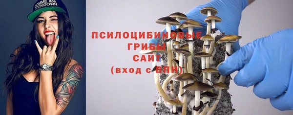 хмурый Абаза