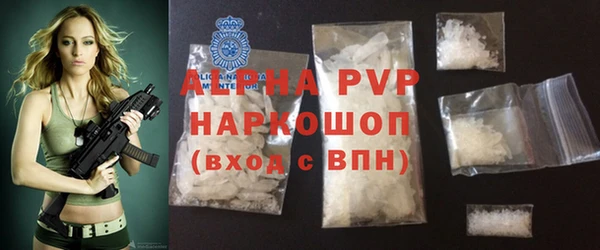 хмурый Абаза