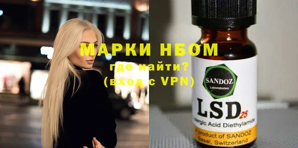 хмурый Абаза