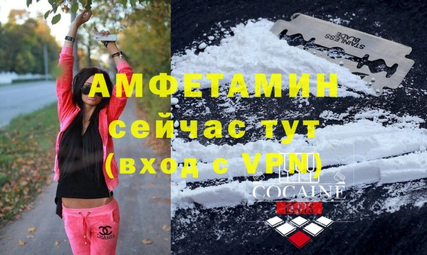 хмурый Абаза