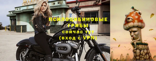 молекула духа Абдулино