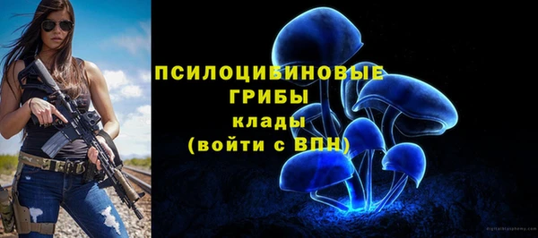 молекула духа Абдулино